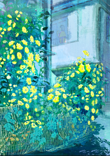 夜の花