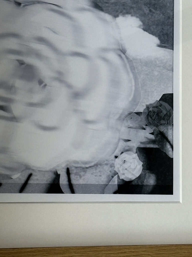 モノクロ花の絵プリント A4 村木映理子　くるまえから_画面アップ