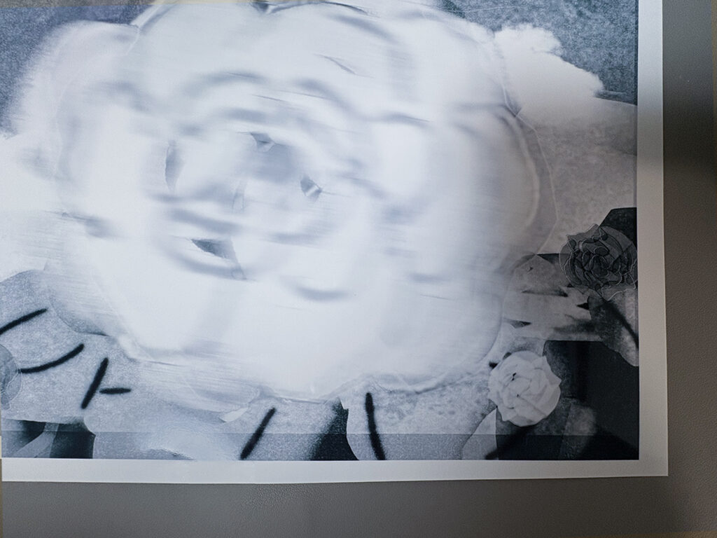 モノクロ花の絵プリント A4 村木映理子　くるまえから_質感