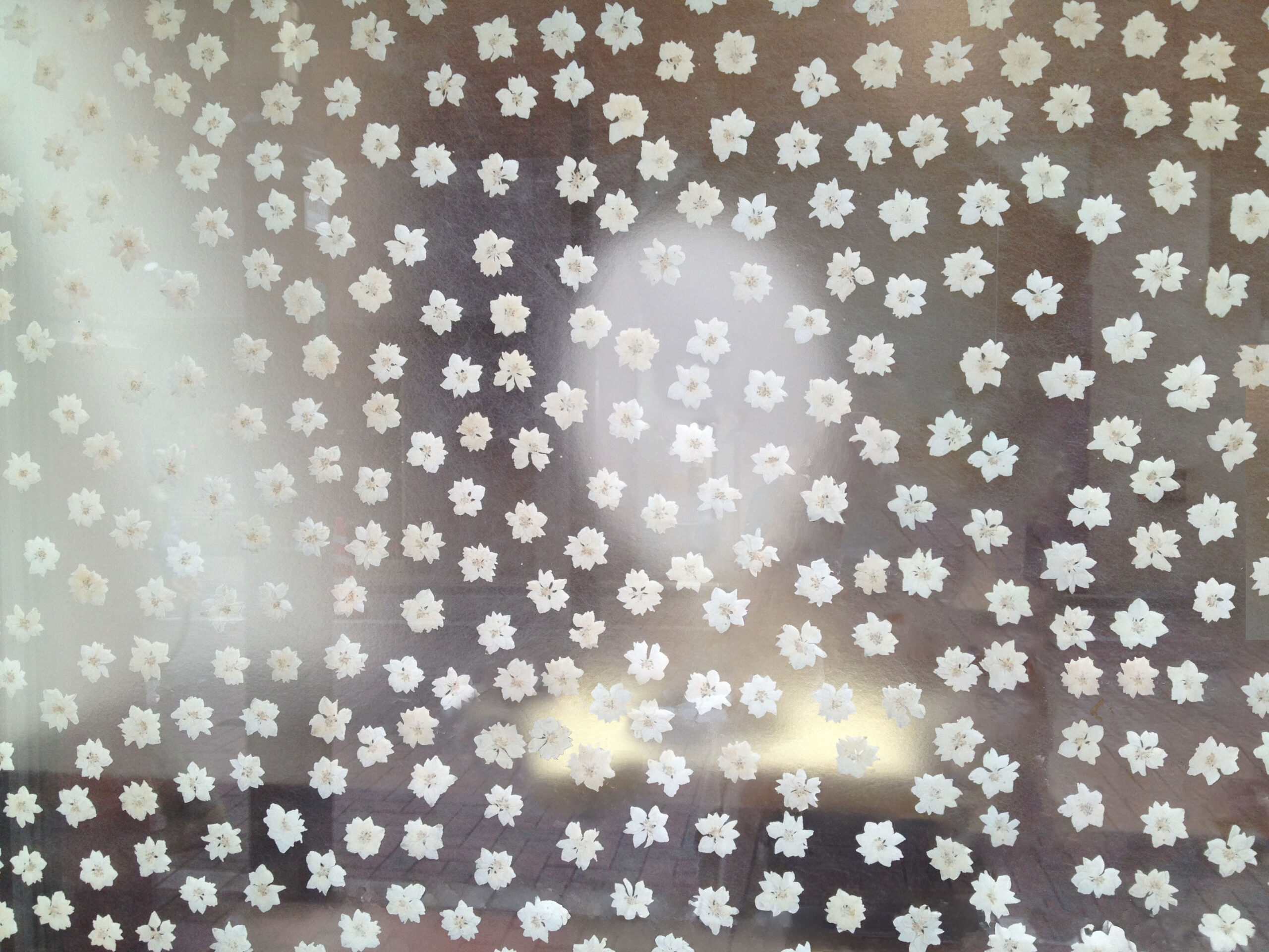 TOP/花鏡/村木映理子Webサイト