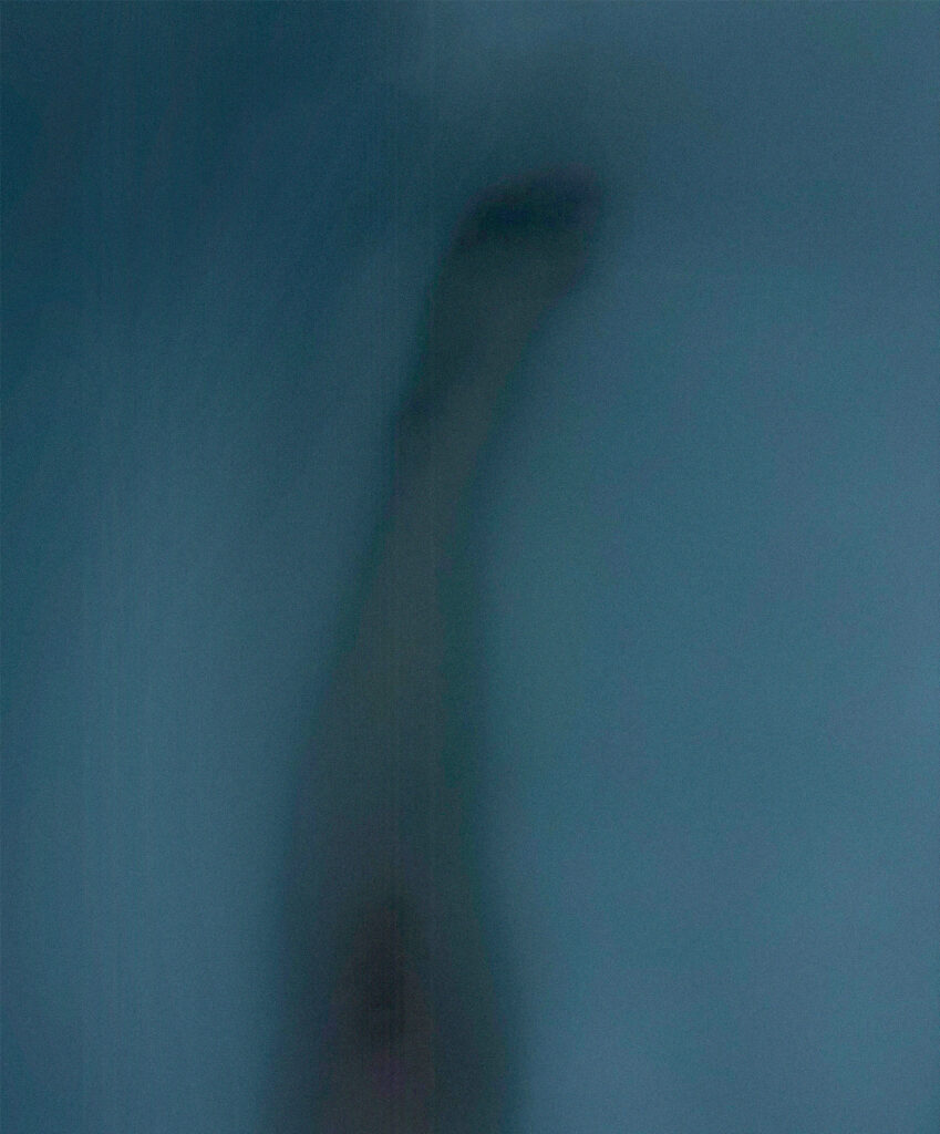水中の脚_#02＿修正