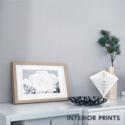 INTERIOR PRINTS